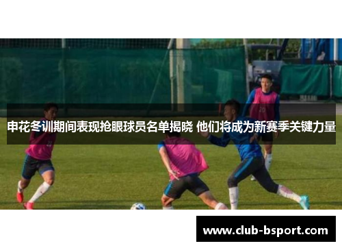 申花冬训期间表现抢眼球员名单揭晓 他们将成为新赛季关键力量